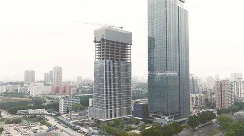 广东庞大粤西公司 打造 旧改 项目高质量发展新标杆