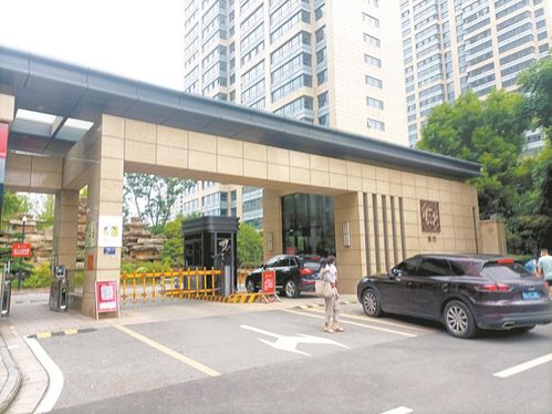 业主质疑湖北黄石佳木公园198小区强卖车位 黄石市委书记批示妥善处理